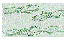 AT Safety Clasp